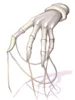 Mimic's Grip